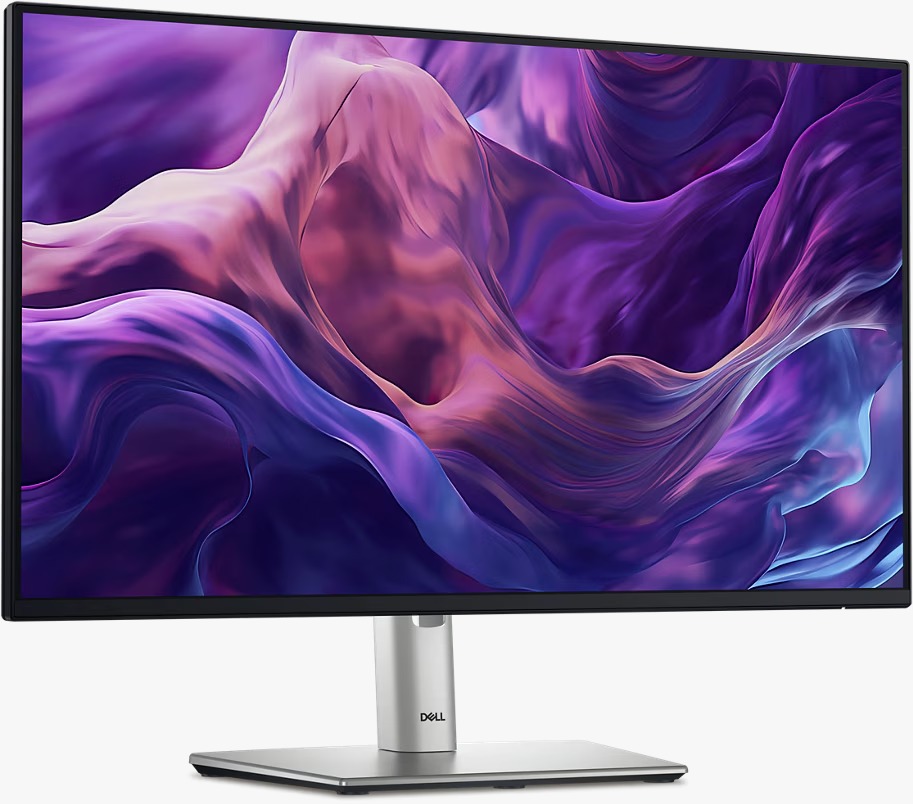 DELL 24 IPS Monitor